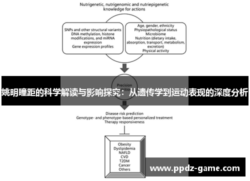 姚明瞳距的科学解读与影响探究：从遗传学到运动表现的深度分析