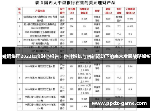 姚明集团2023年度财务报告：稳健增长与创新驱动下的未来发展战略解析